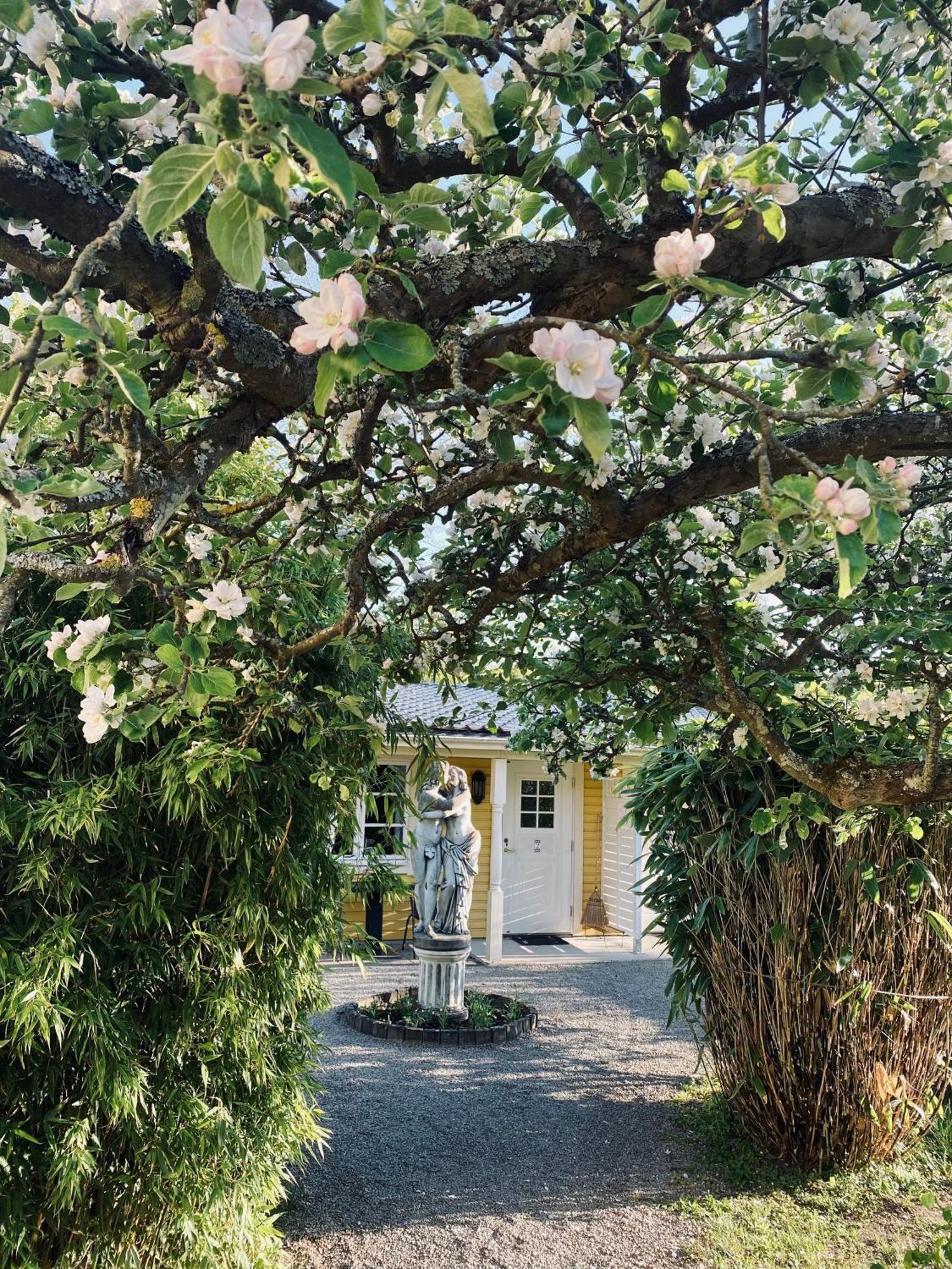 Villa Sol B&B And Hostel Borgholm Bagian luar foto